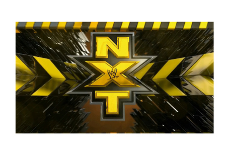Nxt-2013-logo_medium