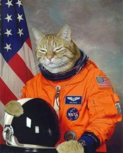 Cat-in-spacesuit_medium