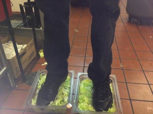 standing-in-lettuce.jpg