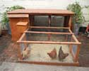 2011_11_nyt-chicken-coop.jpg