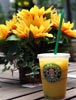 Starbucks-juice.jpg