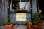2011_veggie_island1.jpg