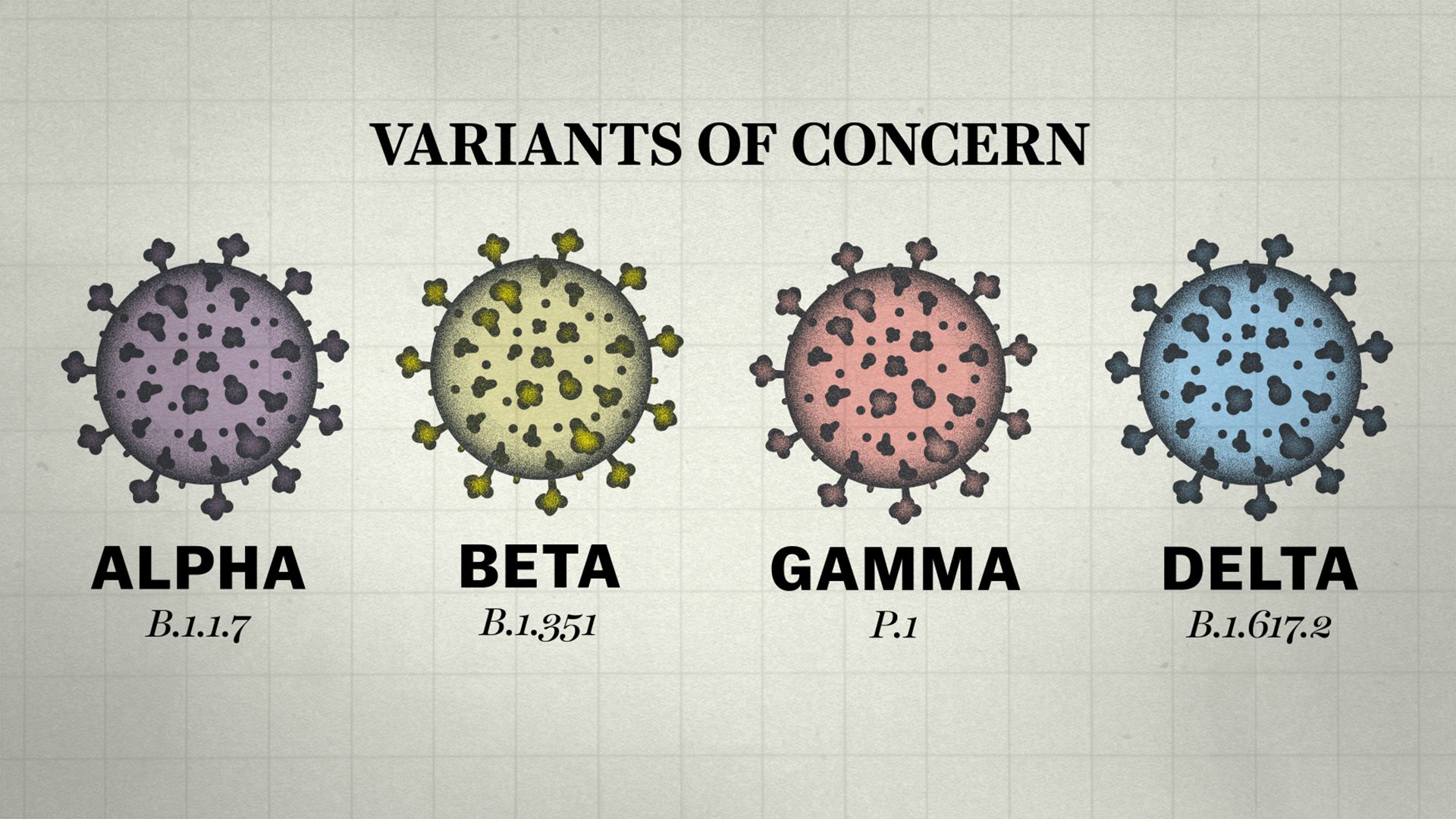 Variant gamma Gamma Variant