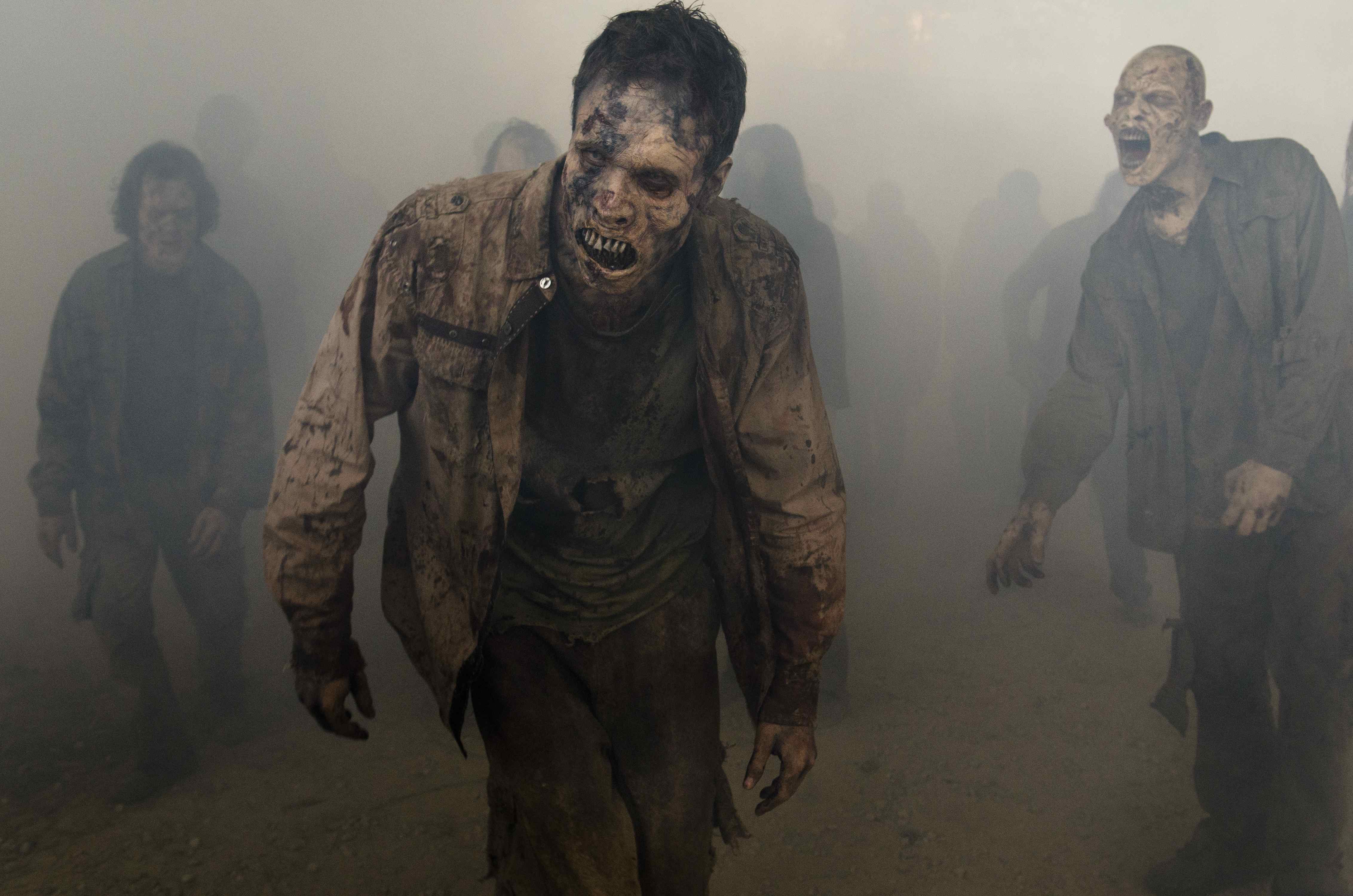 Image result for walking dead  day will come